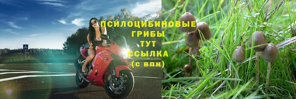 спайс Майский