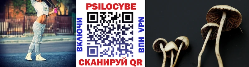 Псилоцибиновые грибы Psilocybine cubensis даркнет сайт omg ссылка Жигулёвск